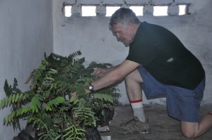 Blog-May10-David-plants