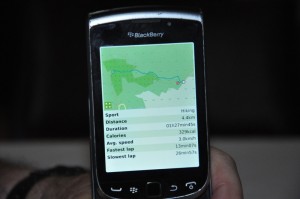 Blog-May6-walkstats