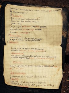 Standard 5